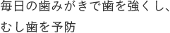 毎日の歯みがきで歯を強くし、むし歯を予防