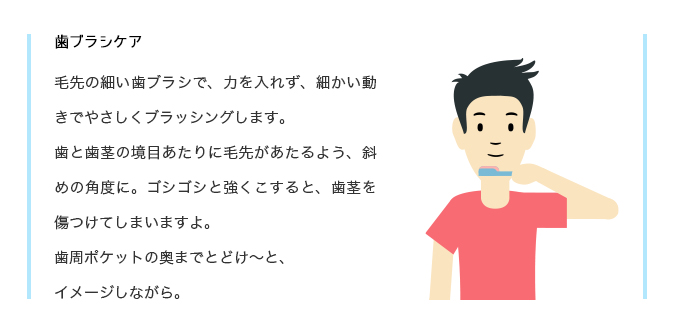 毛先の細い歯ブラシで、力を入れず、細かい動きでやさしくブラッシングします。
歯と歯茎の境目あたりに毛先があたるよう、斜めの角度に。
ゴシゴシと強くこすると、歯茎を傷つけてしまいますよ。
歯周ポケットの奥までとどけ～と、イメージしながら。
歯間ブラシやフロスで、歯の隙間も忘れずに掃除しましょう。