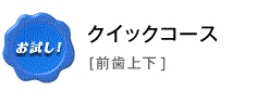 クイックコース（前歯上下　計12歯対象）