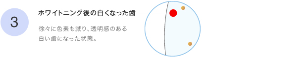 3ホワイトニング後の白くなった歯